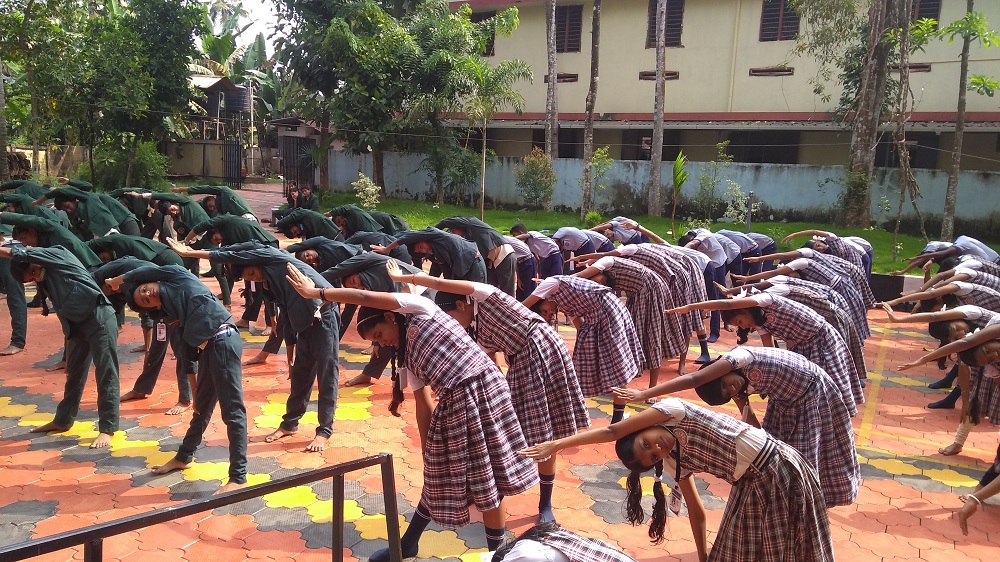 FIT INDIA PLOGGING
