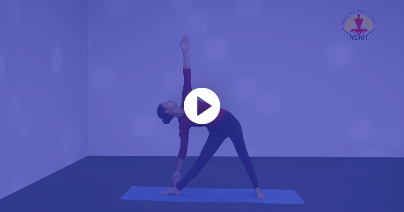Common Yoga Protocol-HINDI